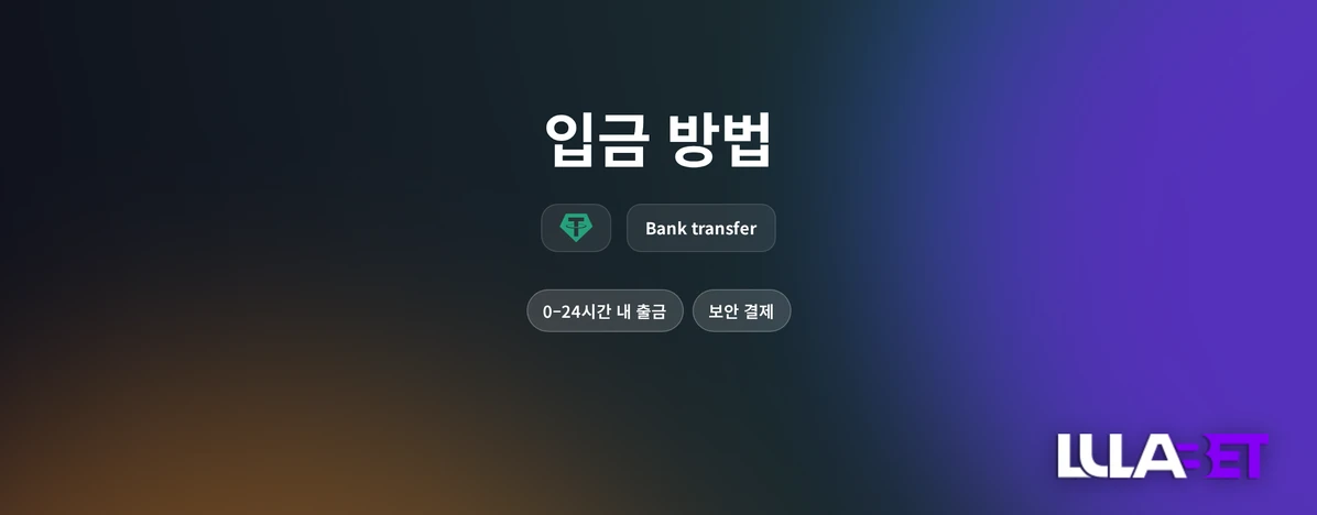 입금 방법: 계좌이체와 USDT